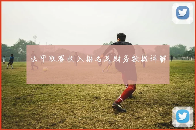 法甲联赛收入排名及财务数据详解